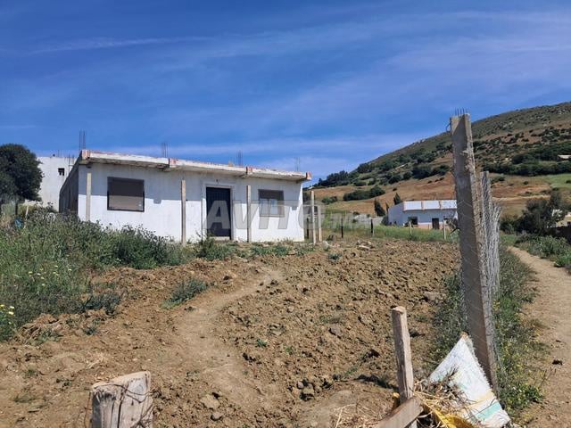 Villa 500 m² à vendre à تطوان — Photo 5