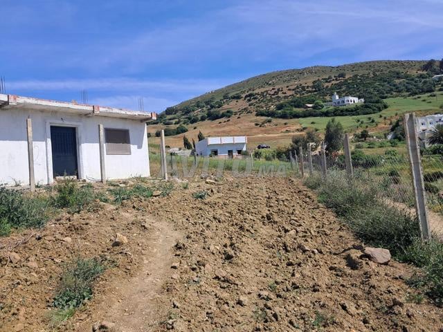 Villa 500 m² à vendre à تطوان — Photo 19