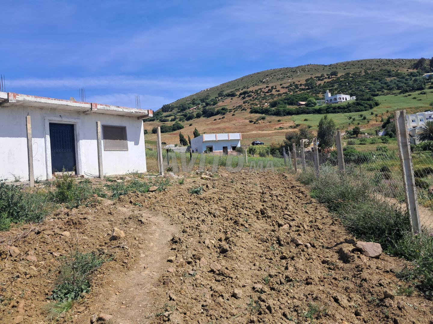 Villa 500 m² à vendre à تطوان — Photo 20