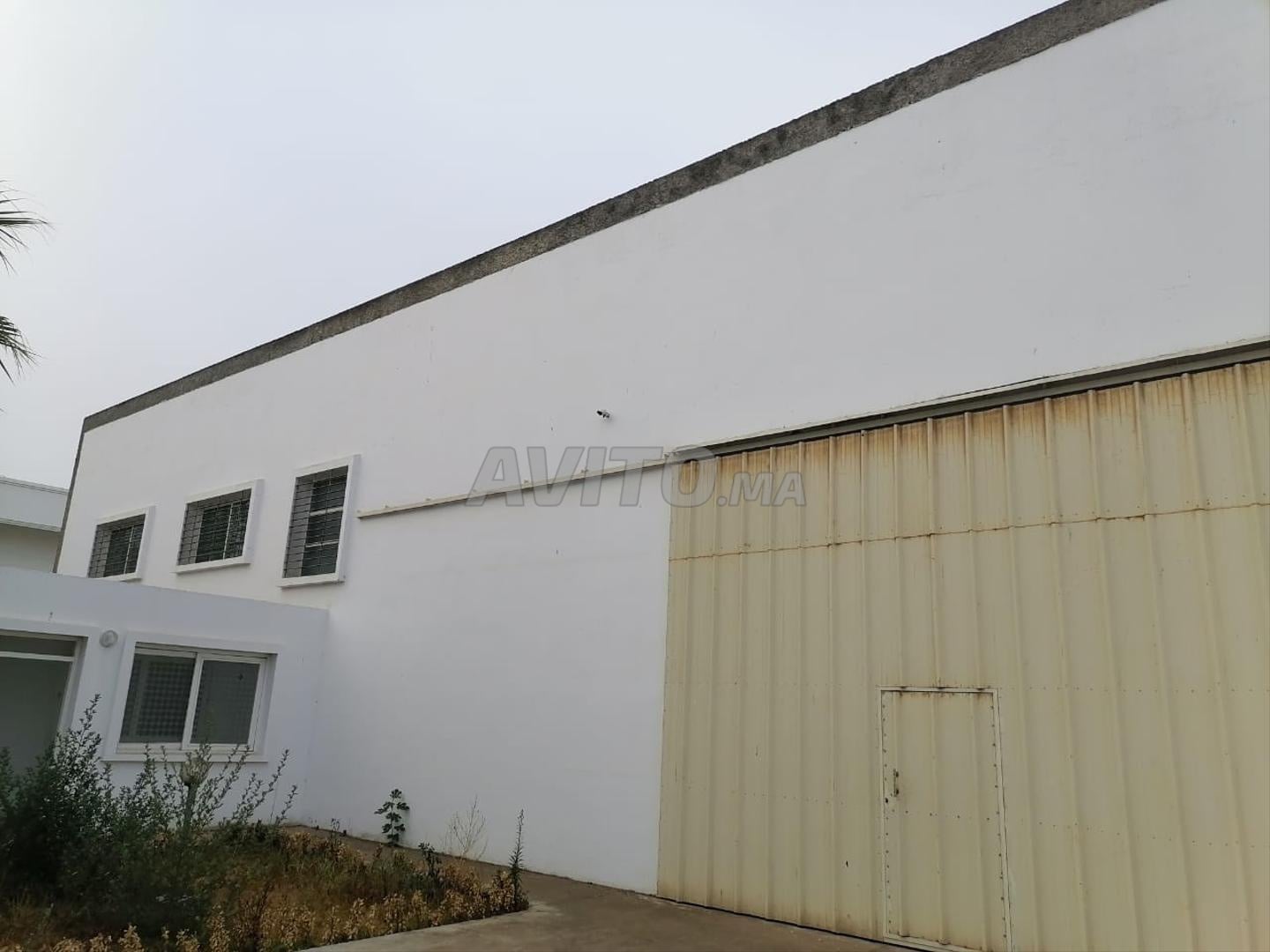 Local commercial 2550 m² à vendre ou à louer à Kénitra — Photo 28
