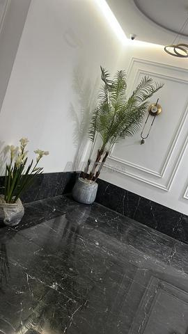 51 m² Studio for Rent in Casablanca - Belvédère — Photo 5