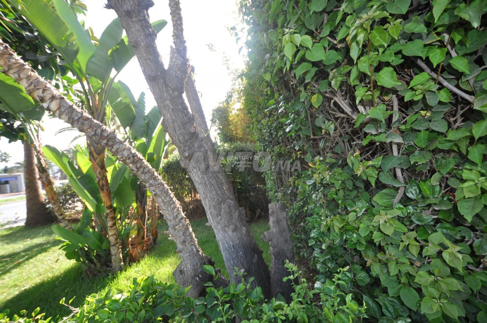 فيلا 255 م² للبيع في المحمدية - حي الشمس — Photo 19