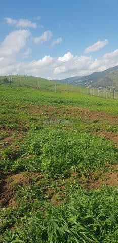 Terrain 1500 m² à vendre à Tétouan — Photo 4