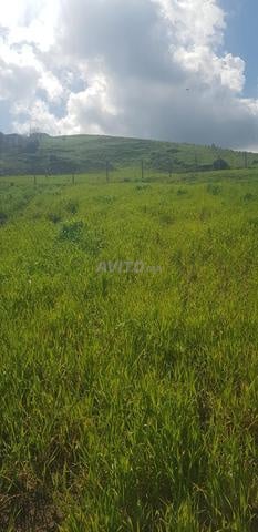 Terrain 1500 m² à vendre à Tétouan — Photo 8