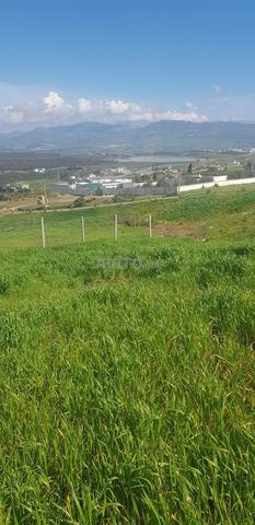 Terrain 1500 m² à vendre à Tétouan — Photo 12