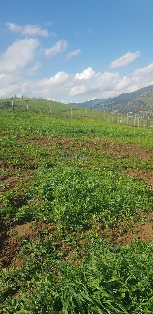 Terrain 1500 m² à vendre à Tétouan — Photo 3