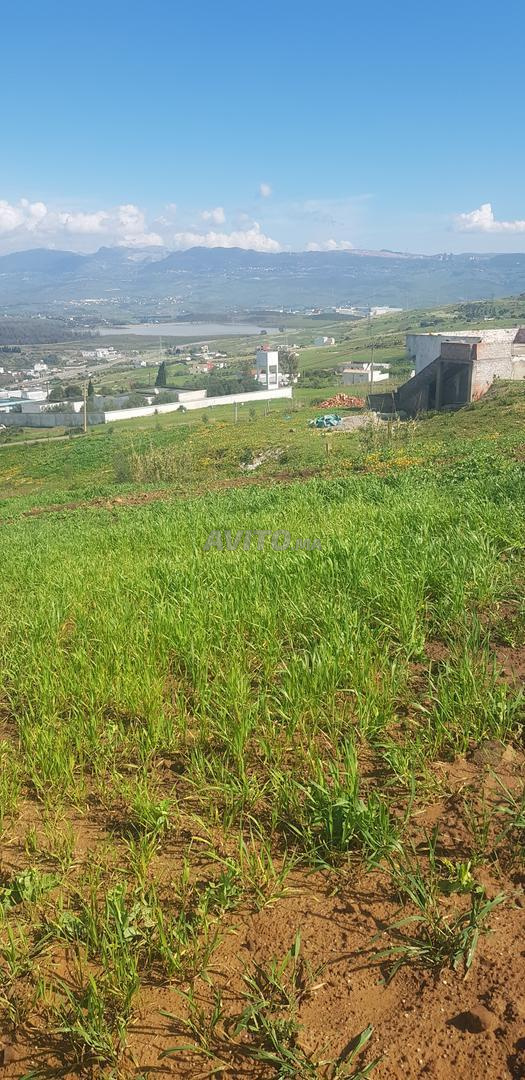 Terrain 1500 m² à vendre à Tétouan — Photo 5