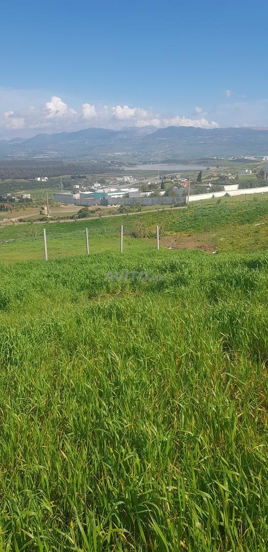Terrain 1500 m² à vendre à Tétouan — Photo 11