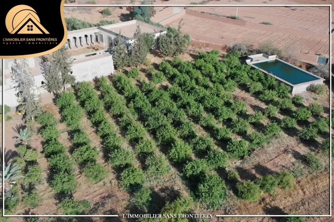 مزرعة 50000 متر² للبيع في مراكش — Photo 4