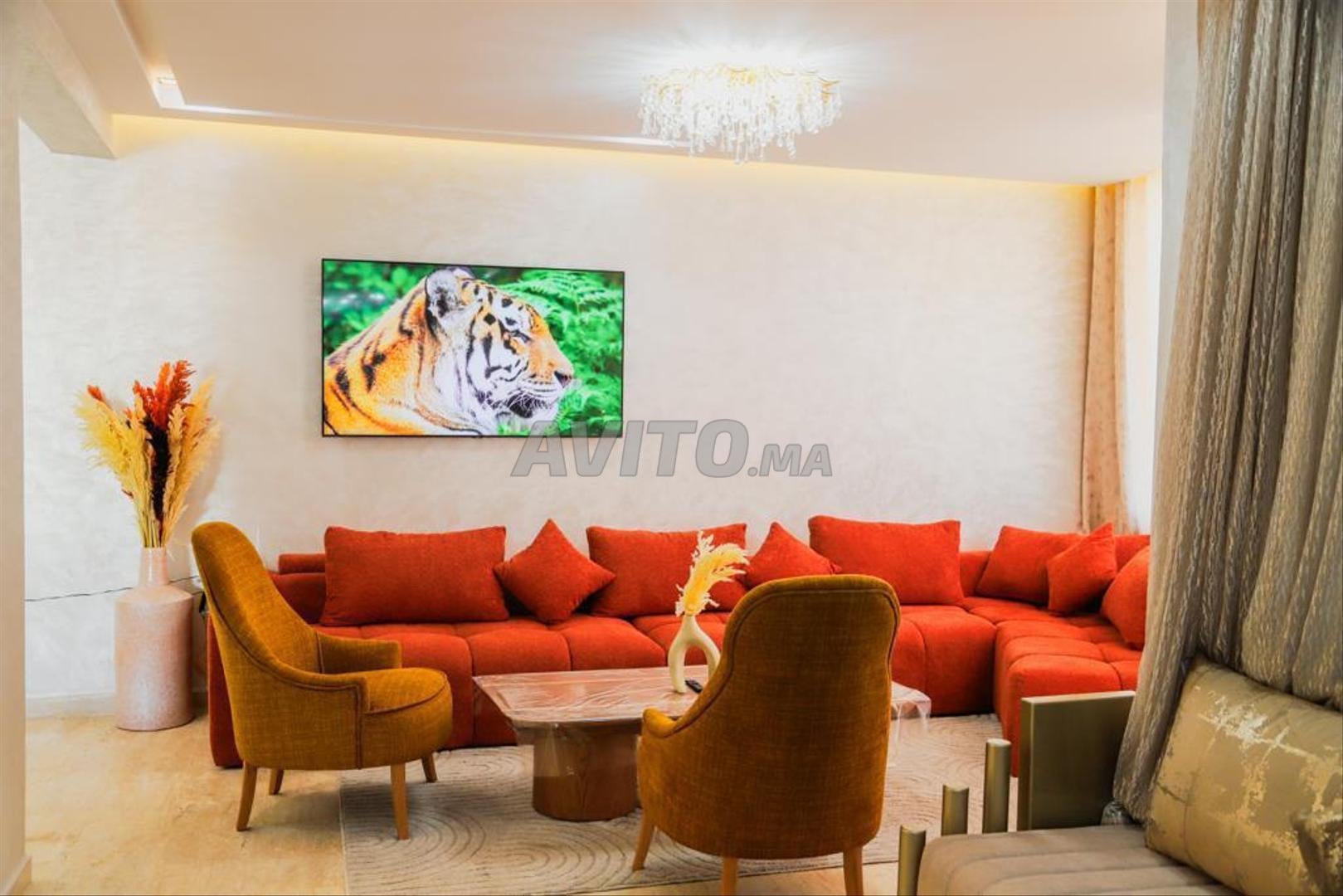 شقة للايجار بالصويرة (باب البحر) — Photo 4