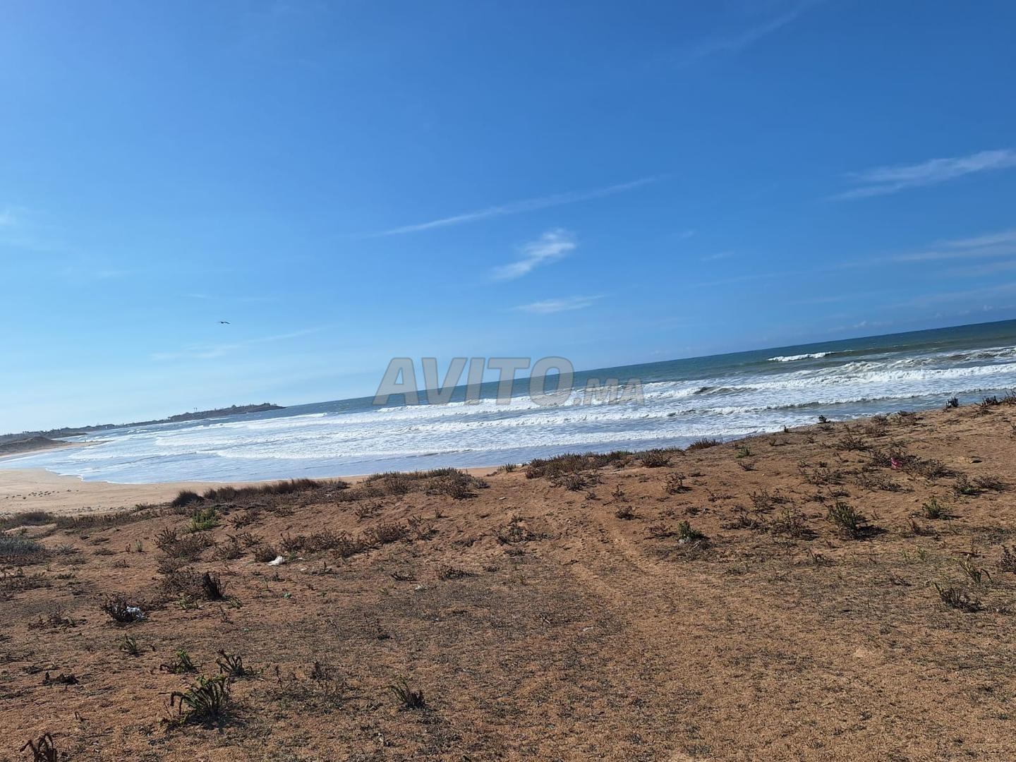أرض 80000 م² للبيع في الرباط – حي الرياض — Photo 4