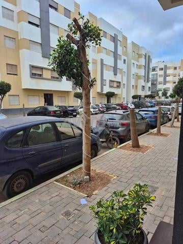Appartement 65 m² à vendre à Béni Yakhlef Louizia — Photo 2