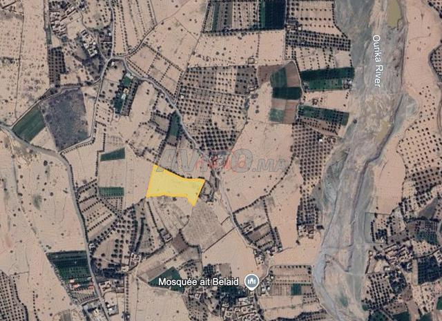 أرض للبيع 11000 م² في مراكش — Photo 3