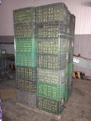 Exploitation agricole 12ha à vendre à Midelt — Photo 13