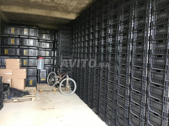 Exploitation agricole 12ha à vendre à Midelt — Photo 15