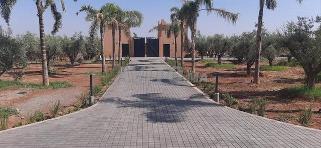 فيلا ١٠٠٠٠ م² للبيع في مراكش — Photo 21