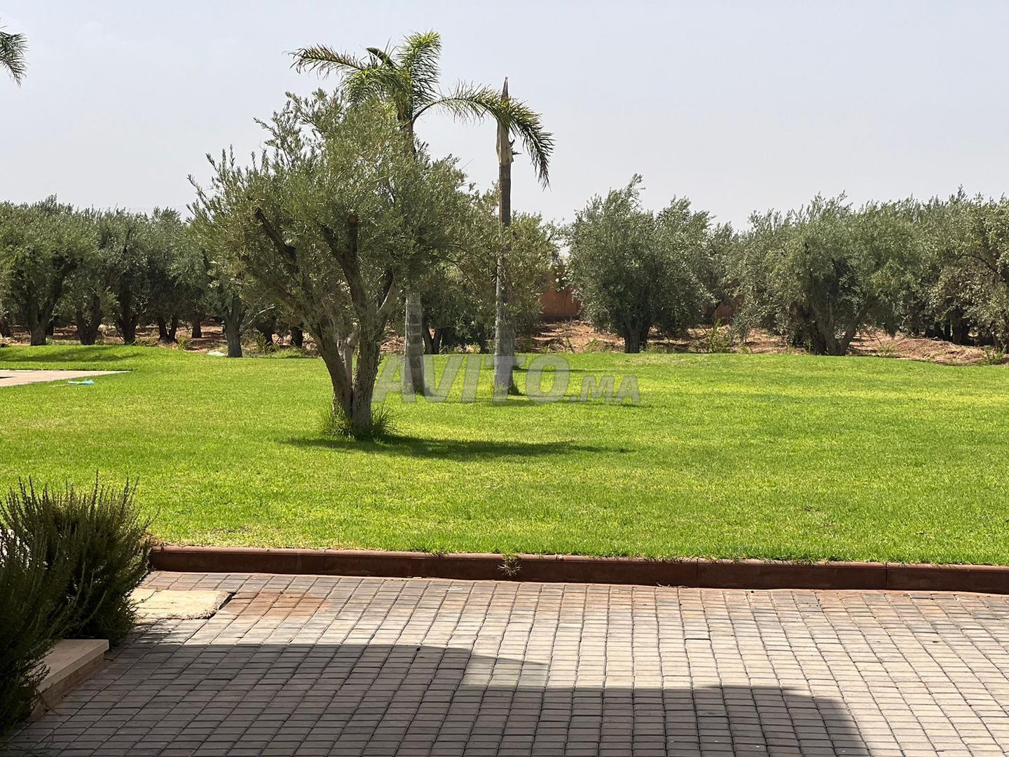 فيلا ١٠٠٠٠ م² للبيع في مراكش — Photo 20