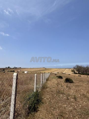 Extraordinary titled hectare property