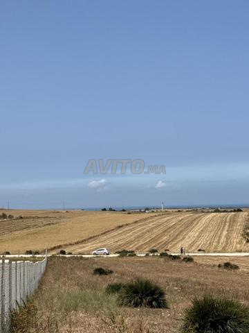 Terrain 10000 m² à vendre à Bir Jdid — Photo 8