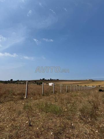 Terrain 10000 m² à vendre à Bir Jdid — Photo 10