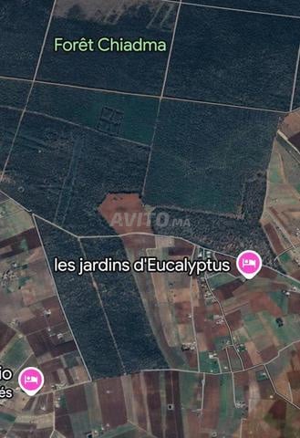 Terrain 10000 m² à vendre à Bir Jdid — Photo 13