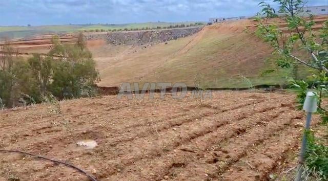 Ferme 2 ha à vendre à Sidi Allal Bahraoui — Photo 2