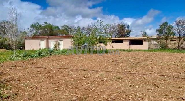 Ferme 2 ha à vendre à Sidi Allal Bahraoui — Photo 4