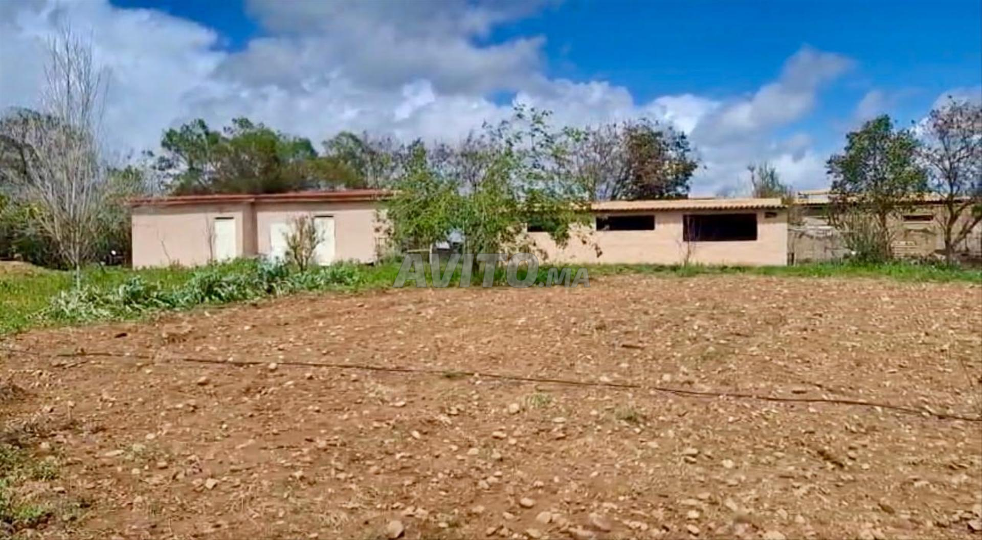 Ferme 2 ha à vendre à Sidi Allal Bahraoui — Photo 3