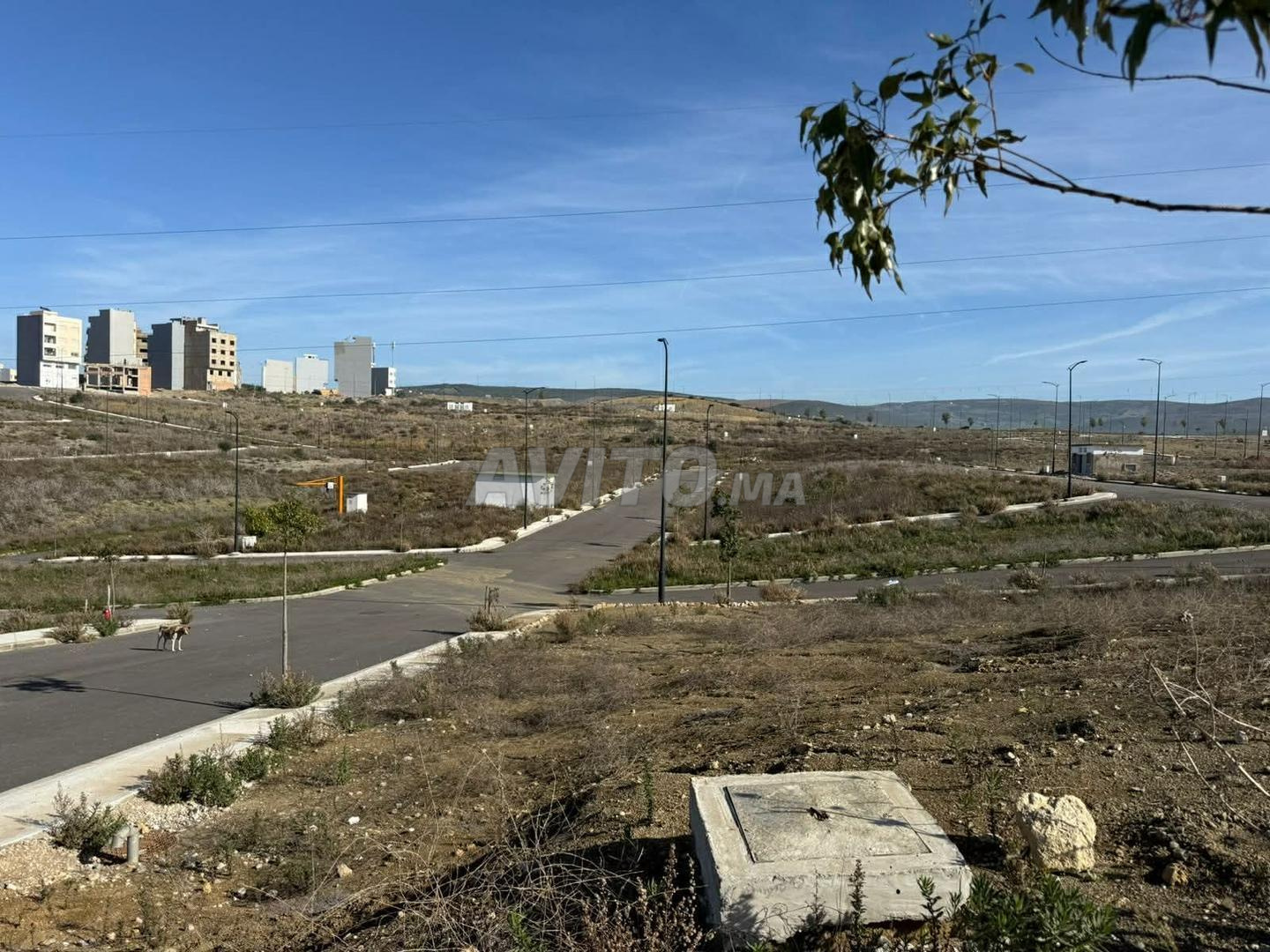 Terrain 260 m² à vendre à Tanger — Photo 10