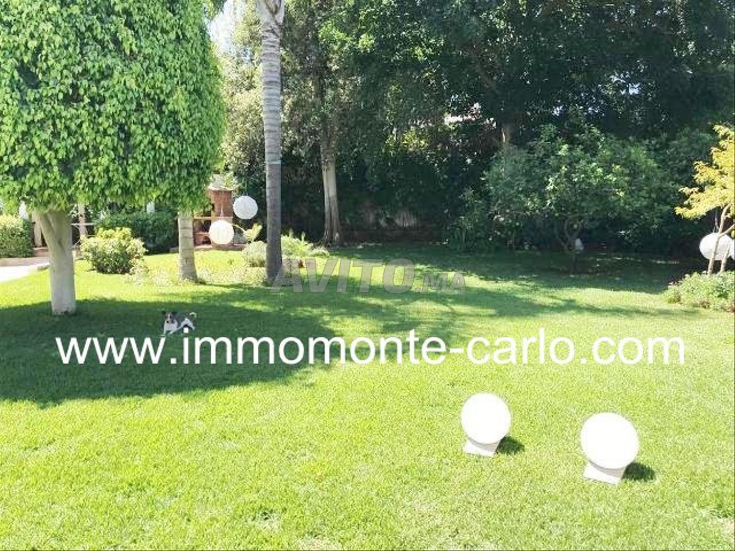 Villa 2000 m² à louer à Souissi Rabat — Photo 16