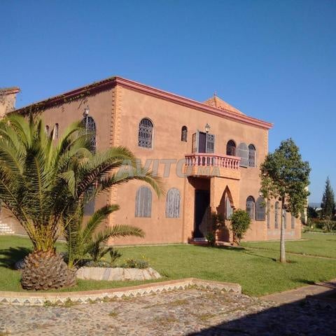 Land 10000 m² for sale in Rabat (Skhirat) — Photo 2