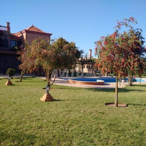 Land 10000 m² for sale in Rabat (Skhirat) — Photo 4
