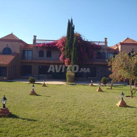 Land 10000 m² for sale in Rabat (Skhirat) — Photo 10