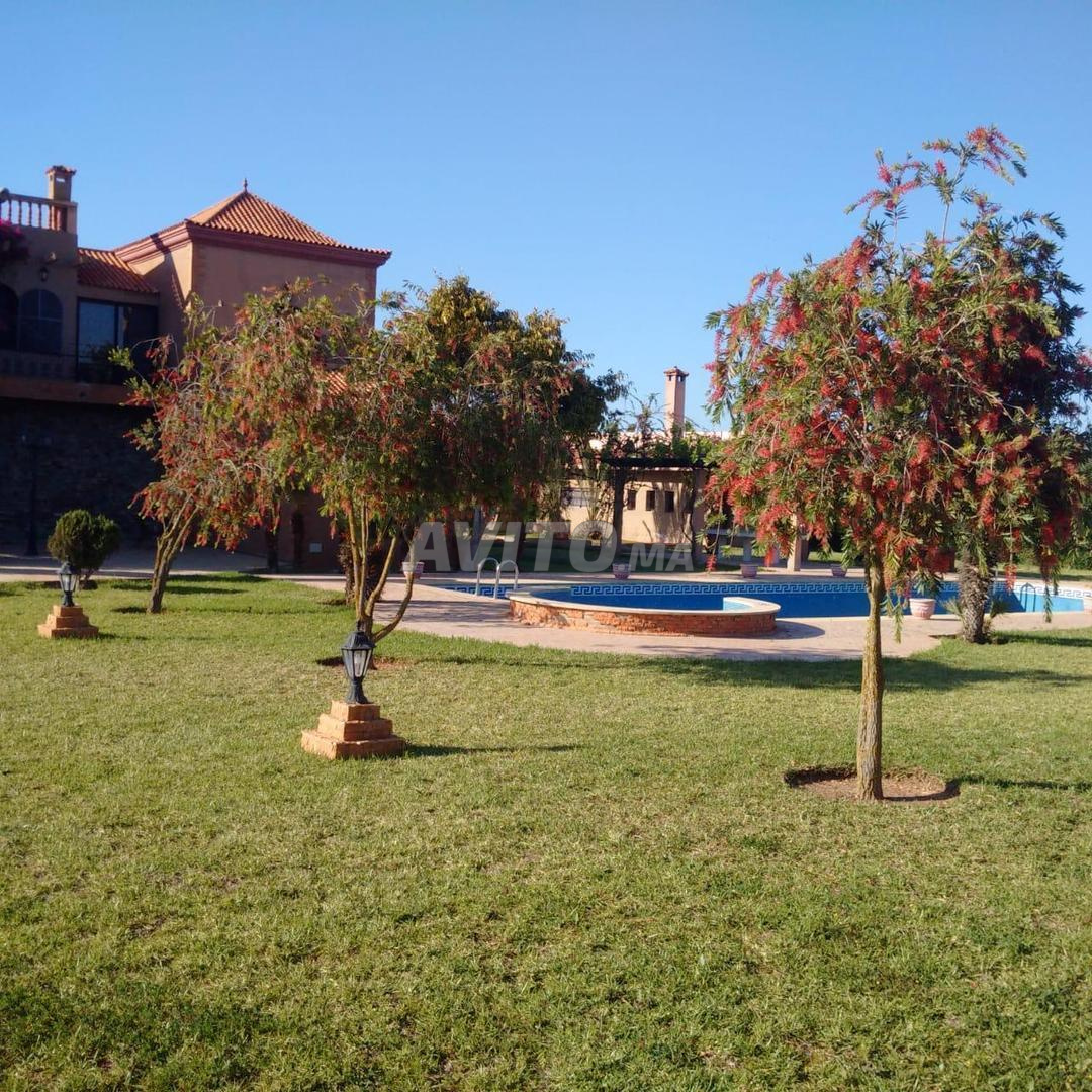 Land 10000 m² for sale in Rabat (Skhirat) — Photo 3