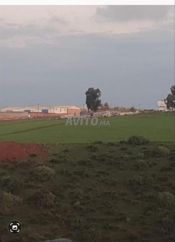 Plot 40000 m² for sale in Ain Attig — Photo 2