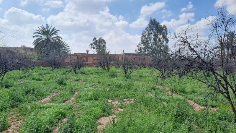 Plot 10000 m² for Sale in Marrakech — Photo 17