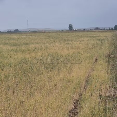 Plot 10000 m² for Sale in Marrakech — Photo 16
