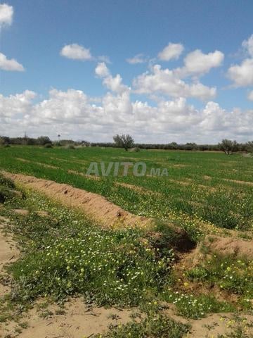Land 40303 m² for sale in Marrakech — Photo 2