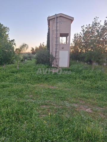 Terrain 18960 m² à vendre à Sidi Allal El Bahraoui — Photo 13