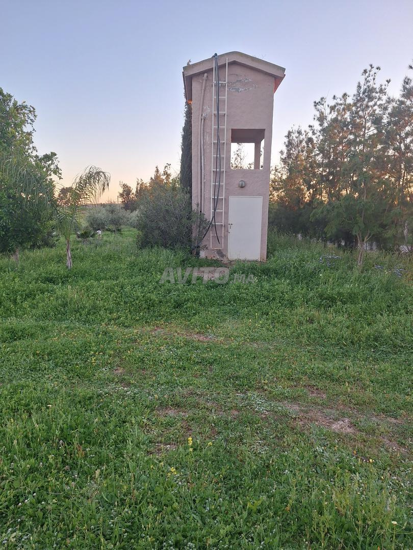 Terrain 18960 m² à vendre à Sidi Allal El Bahraoui — Photo 14
