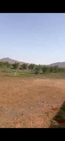 أرض 22500 متر مربع للبيع في مراكش — Photo 2