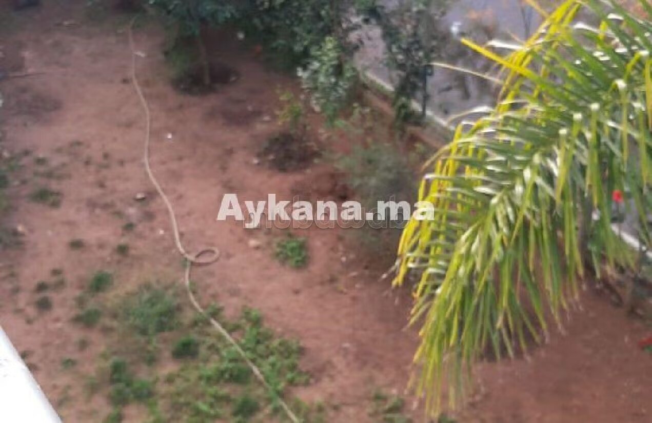 Villa 410 m² for sale in El Menzeh — Photo 4