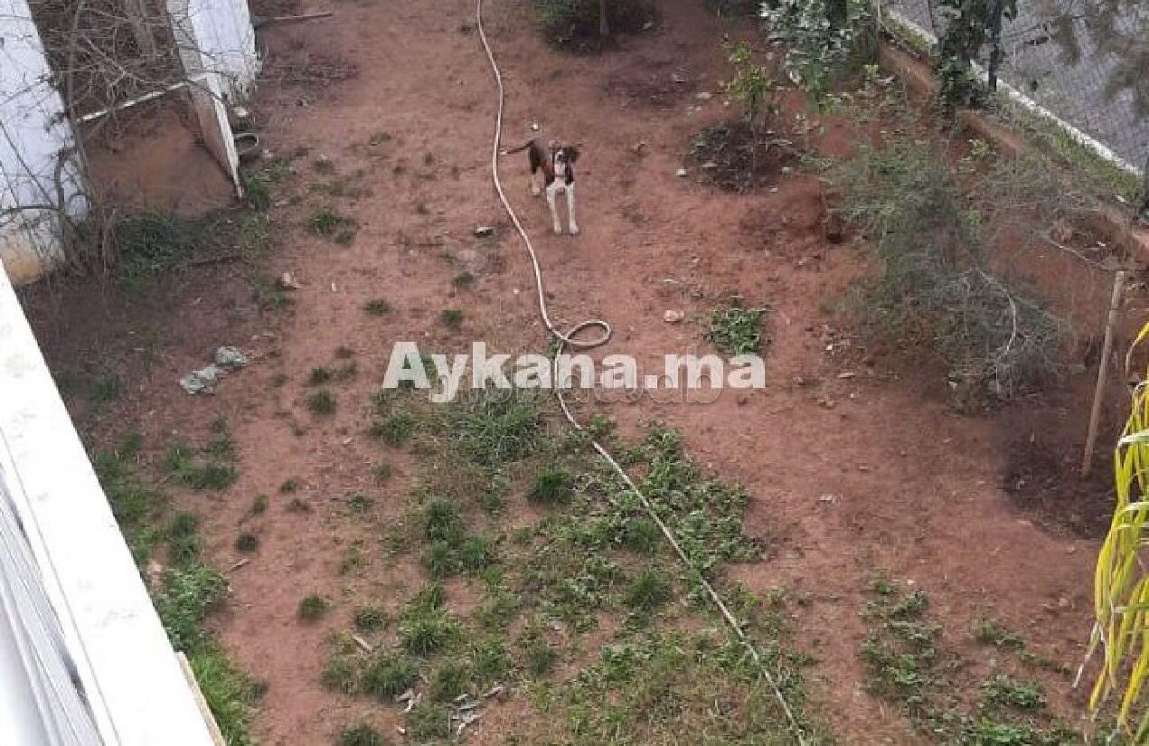 Villa 410 m² for sale in El Menzeh — Photo 5