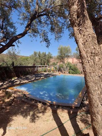 فيلا 750 م² للإيجار في مراكش — Photo 12