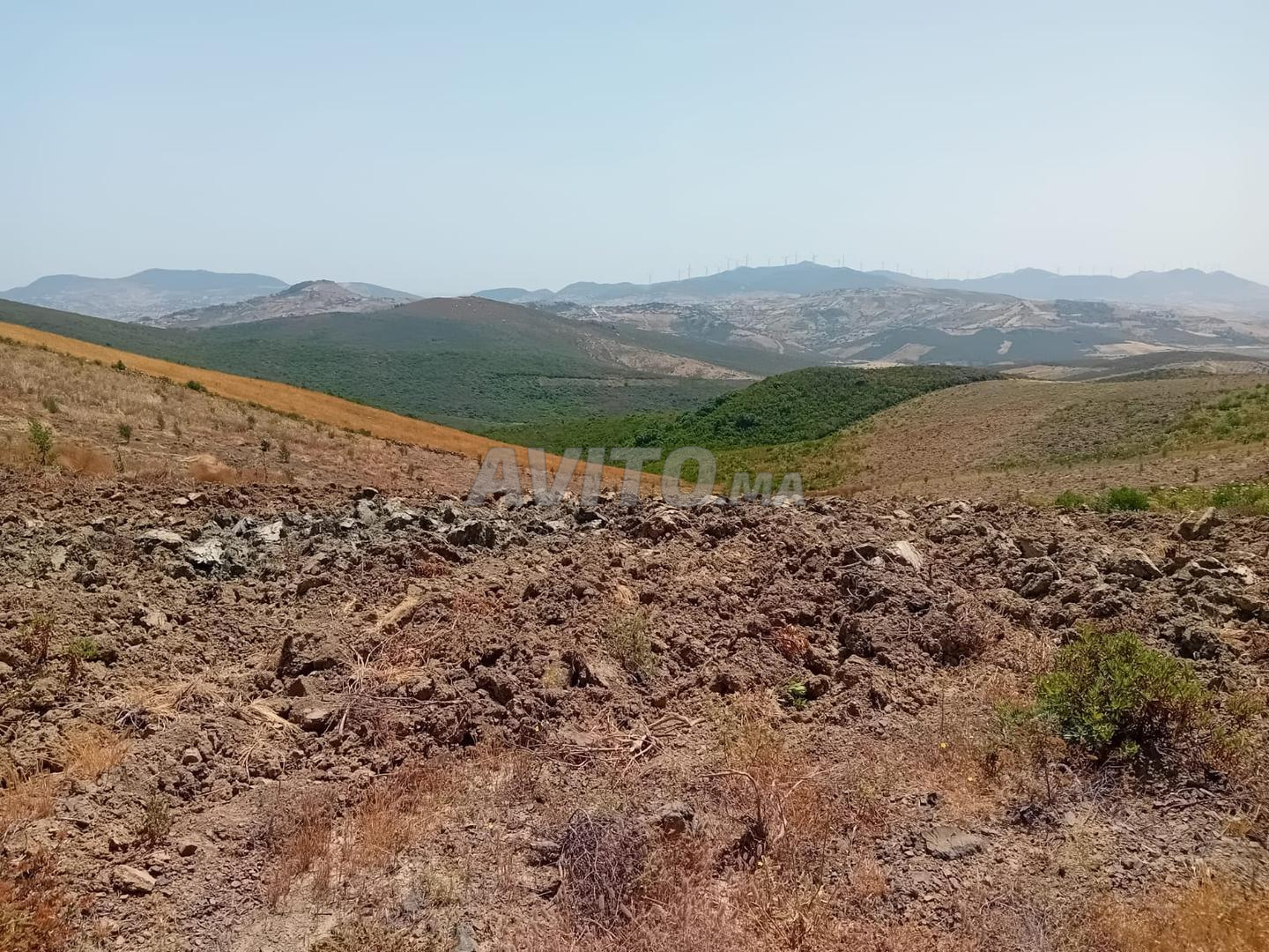 أرض للبيع 1000 م² في طنجة ميلوسا — Photo 2