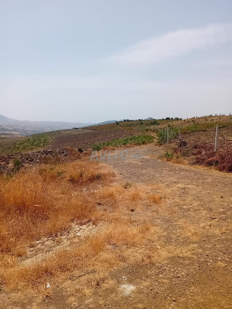 أرض للبيع 1000 م² في طنجة ميلوسا — Photo 4