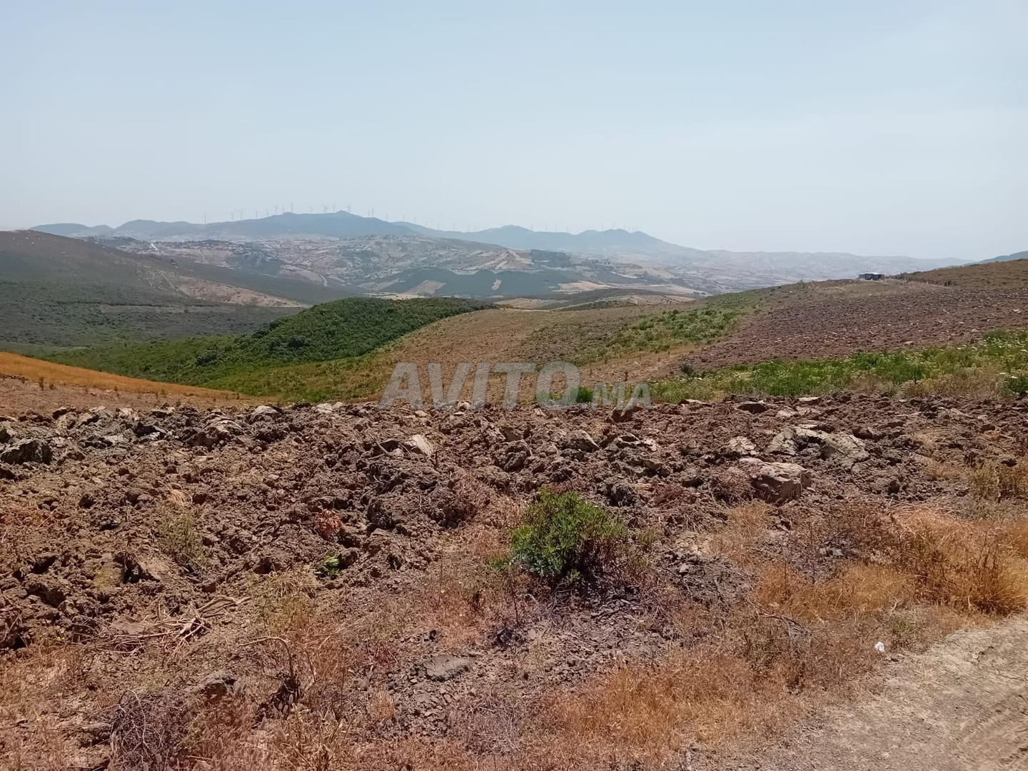أرض للبيع 1000 م² في طنجة ميلوسا — Photo 5