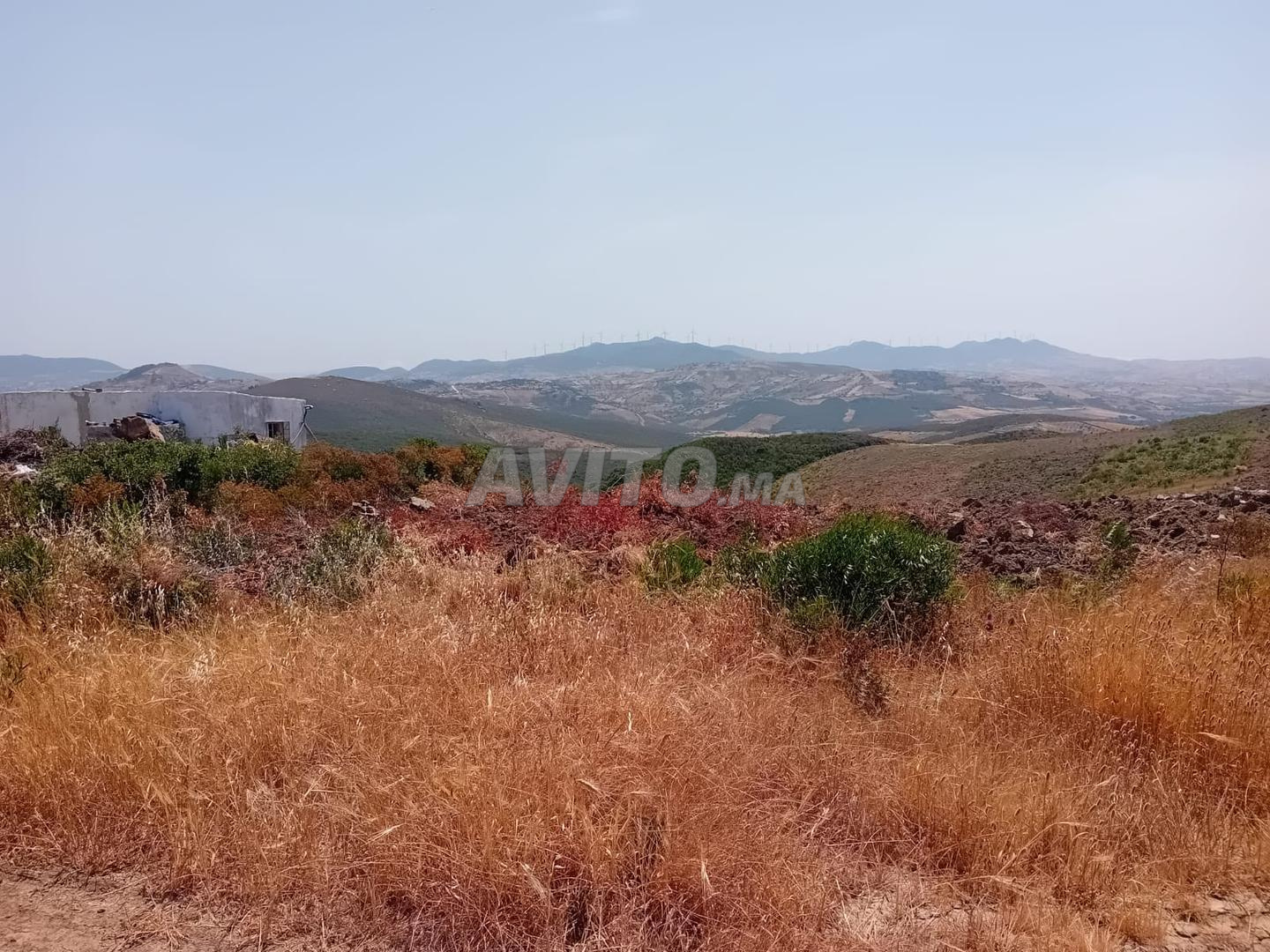 أرض للبيع 1000 م² في طنجة ميلوسا — Photo 6