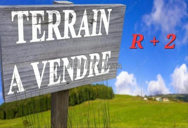Plot 128m² for Sale in Mohammédia — Photo 2