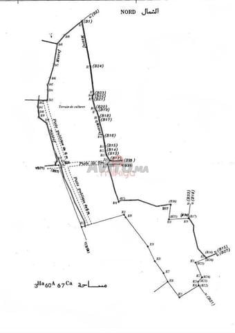 Land 33600 m² for sale in Marrakech — Photo 3